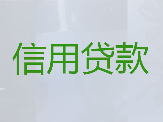 大理贷款公司